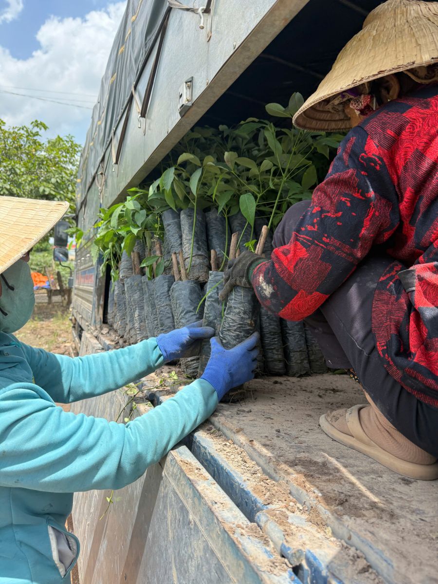 Giảm áp lực nhân công và công tác quản lý